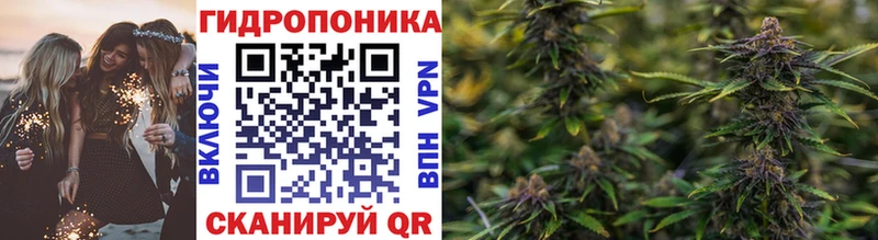 hydra зеркало  купить   Сортавала  Бошки марихуана план 